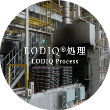 LODIQ®（ロジック）処理